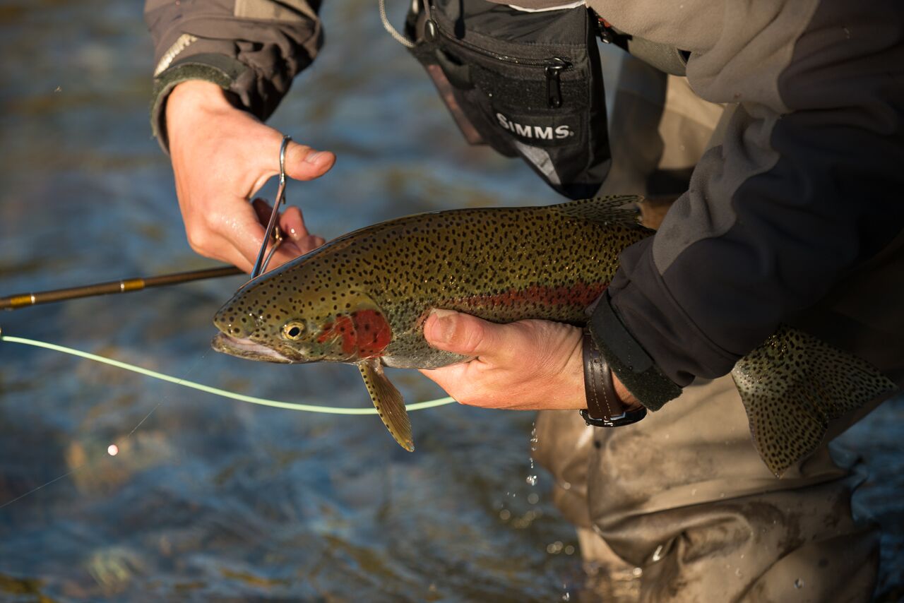 fishing seasons in alaska