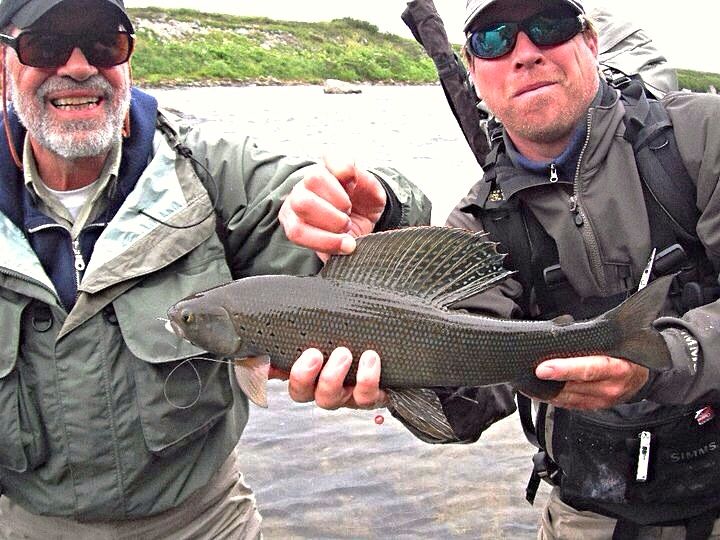 Arctic Grayling Fishing