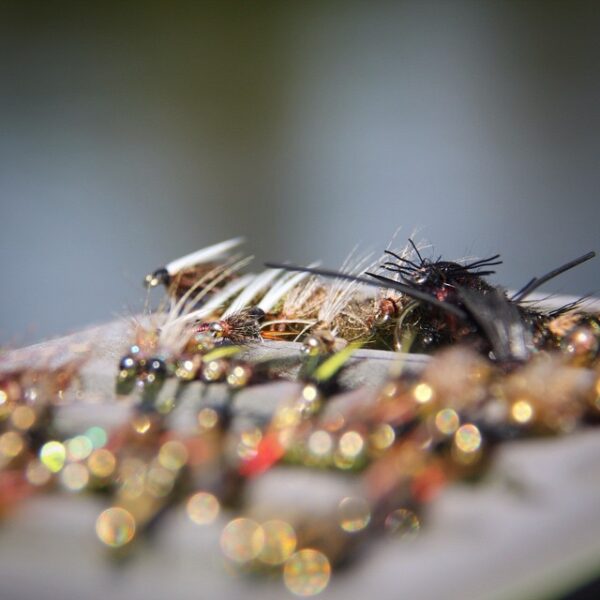  fishing - flies 