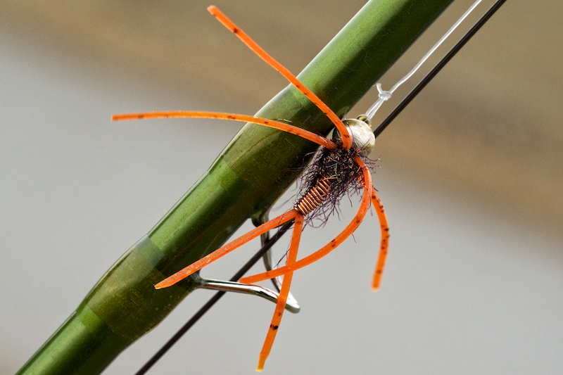 10 Trout Fly Fishing Basics That We All Forget Sometimes