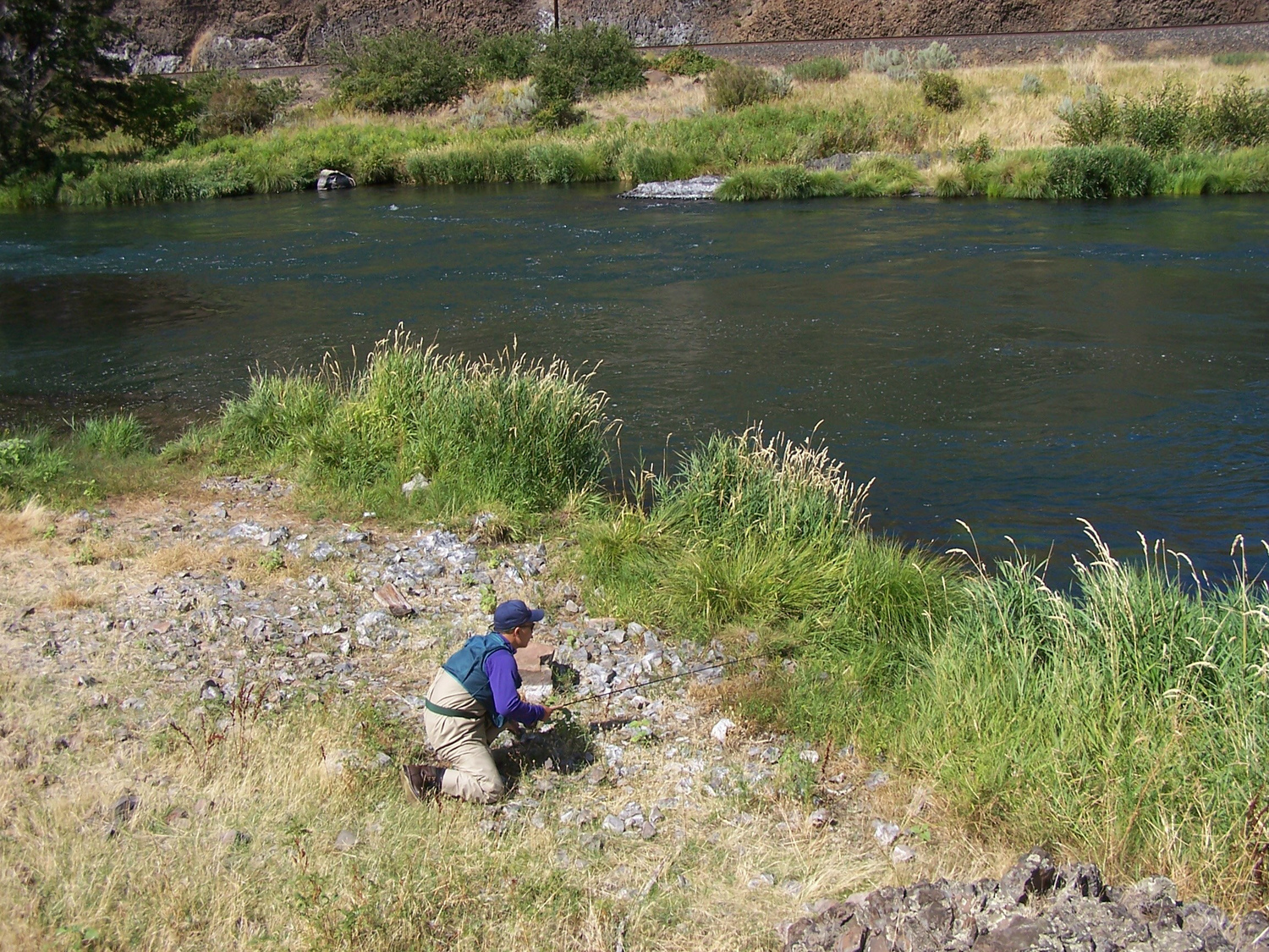 10 Trout Fly Fishing Basics That We All Forget Sometimes