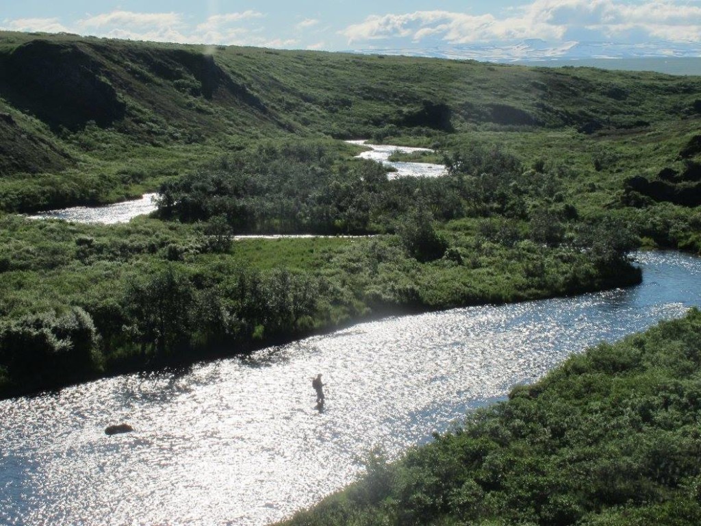 Fly Fishing in Alaska