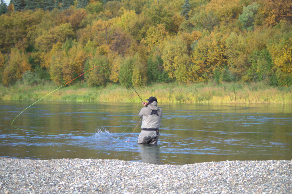 Spey casting in alaska