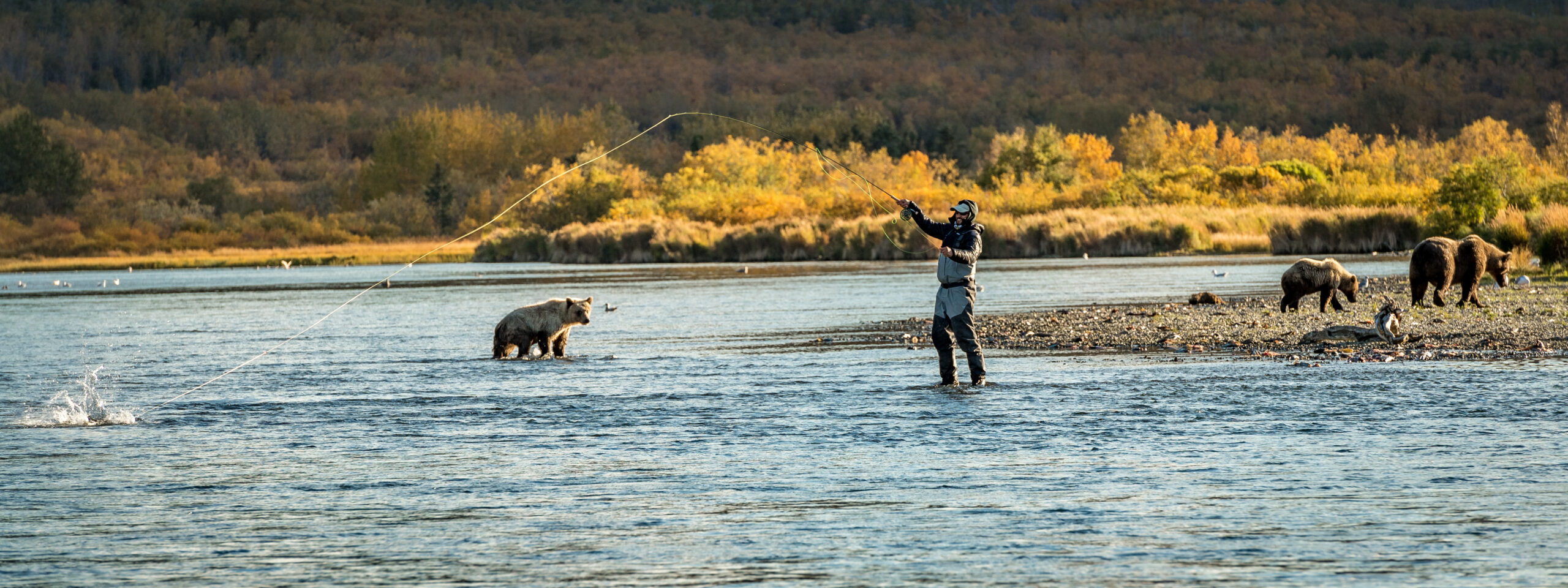 ALASKA / No See Um Lodge - Matt Harris